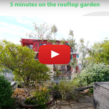 Christie Walk rooftop garden mini-video tour